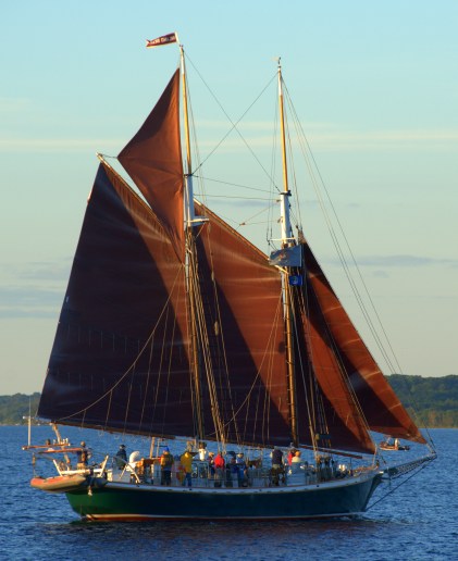 16807991226_08b707d645_o